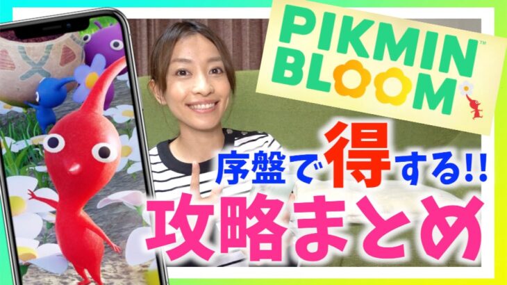 ポケモンgoとどう違う ピクミンブルームの遊び方 デコピクミン入手方法など 序盤で得する重要ポイントまとめ Pikmin Bloom 動画配信者支援ブログ